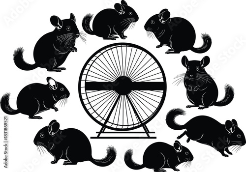 Chinchilla silhouette vector, exercise wheel motion, circular animal poses, pet activity illustration, CAD streetwear flat vector illustration