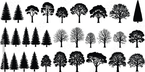 Tree silhouette vector, coniferous deciduous leafless shapes, botanical diversity illustration, forest canopy design, CAD streetwear flat vector illustration