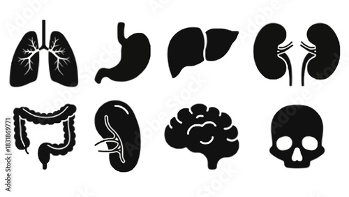 Black silhouettes of human organs including lungs, stomach, liver, kidneys, colon, spleen, brain, and skull.