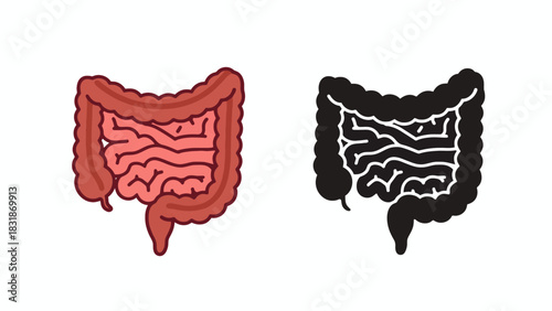 Set of human intestine icons, featuring a colored anatomical illustration and a black silhouette version.