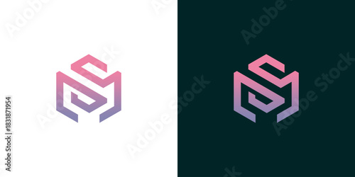 Abstract Hexagonal Logo Design with Interlocking Monogram 'SM' in Gradient Purple and Pink Tones