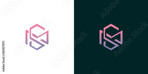 Geometric Logo Design Abstract Hexagon with Intertwined Letters 'MS'