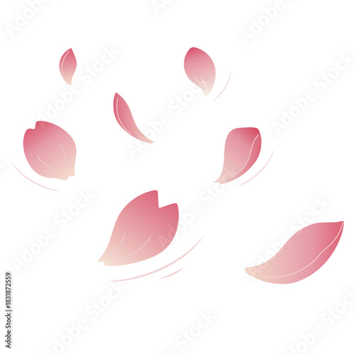 Cherry_Blossom_Petals_Falling_Isolated.png