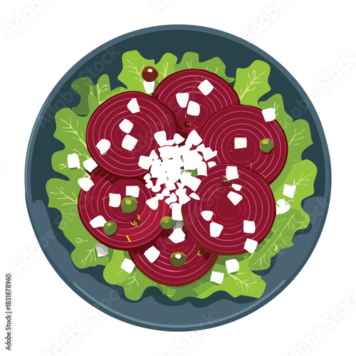 Gourmet beetroot and goat cheese salad served with fresh herbs on a grey stone plate - Vector Illustration