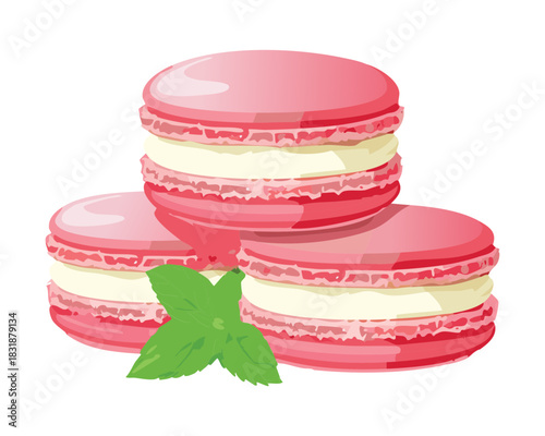 Three pink macarons with vanilla cream filling and mint leaves for a sweet french pastry display