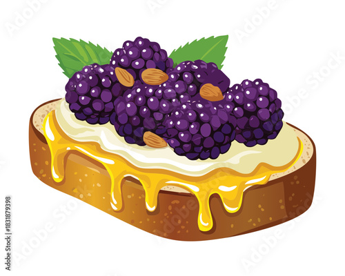 Gourmet toasted bread topped with fresh blackberries honey and nuts for a healthy sweet breakfast - Vector Illustration