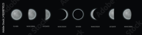 Moon phases sequence, vector realistic waning and waxing gibbous, first and last quarter, new and full moon, crescent