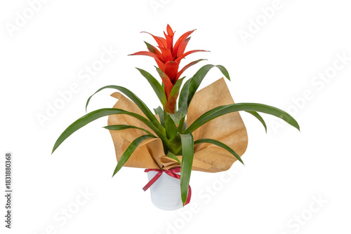 Season Flower Arrangement