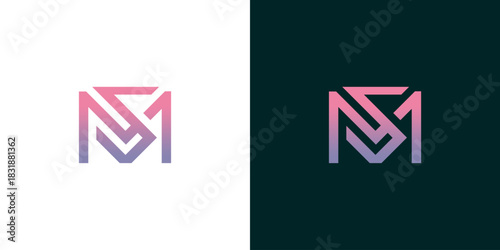 Elegant SM Monogram Logo Design with a Modern Gradient