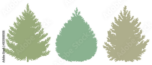 Collection of fir tree silhouettes in green shades on a transparent background vector illustration.