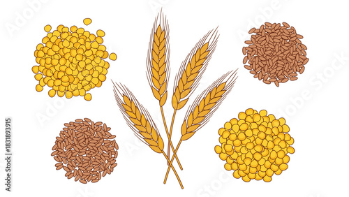 Wholesome nutrition with vibrant wheat, flax seeds, and lentils for healthy eating and cooking inspiration now available