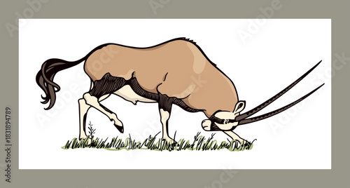 Vector card with hand drawn graceful male oryx with its head down, among savannah. Ink drawing, graphic style. Beautiful wild animal illustration