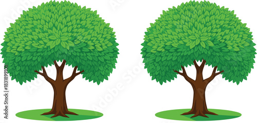 A vector illustration of two lush green deciduous trees with full, leafy canopies and thick trunks, symbolizing nature, environment, ecology, growth, and park landscapes