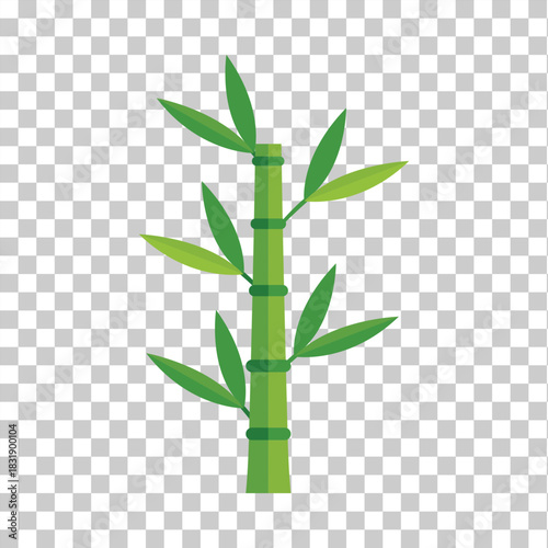 Green bamboo stalk with leaves on transparent background plant