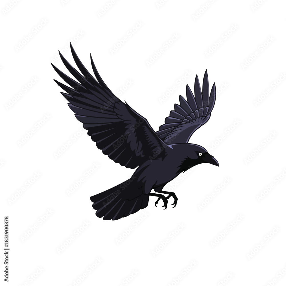 Fototapeta premium A dark raven, depicted in a stylized vector illustration, is shown in flight with its wings spread wide against a white background.