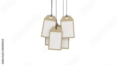A cluster of empty craft paper labels dangling by threads, perfect for custom price information or personal messages
