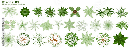 CAD Drawings trees and plants in top view, Editable vector on white background, landscape design, architectural projects, elements for environment and garden.	