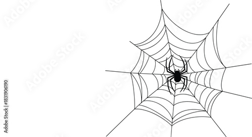 Minimalist black silhouette of a spider sitting in the center of its intricate web, isolated on a clean white background for Halloween.