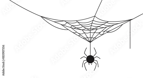 Minimalist black and white drawing of a spider hanging from a strand of silk below a delicate corner cobweb illustration.