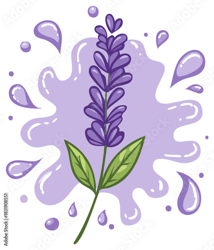 Illustrated lavender plant with purple liquid splash elements and drops