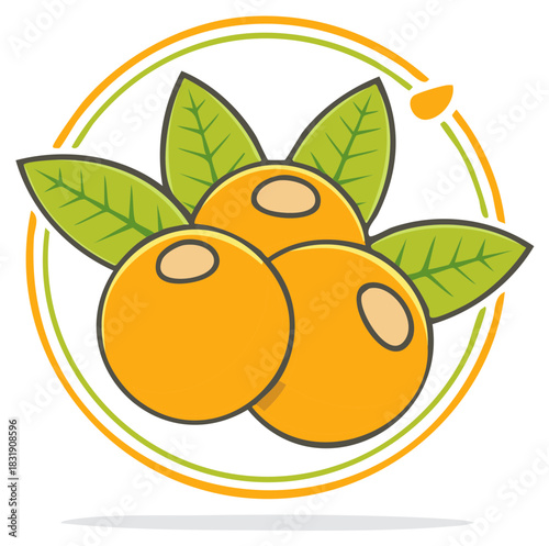 Sea buckthorn illustration with leaves in a circle for label and logo design