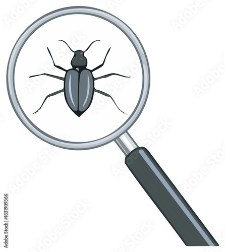 Beetles under magnifying glass, bugs, insects illustration, examination
