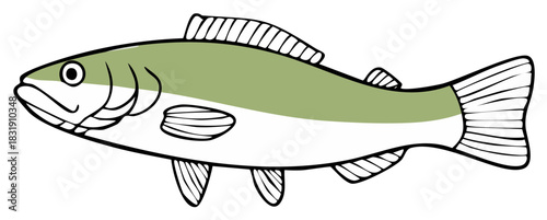 Isolated Salmon: Stylized Illustration of Freshwater Fish with Fins, Tail, and Body Outline
