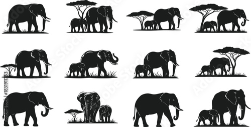 Set of twelve African elephant silhouettes including adult, calf, and safari landscape elements like acacia trees, symbolizing wildlife, family, travel, and the savanna, isolated vector collection