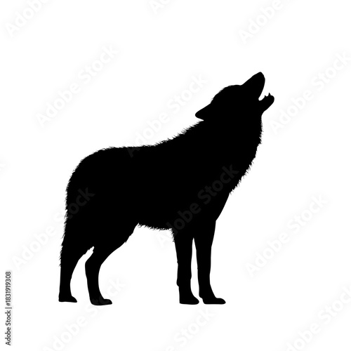 howling wolf - vector illustration