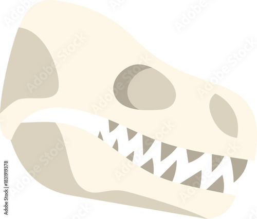 Side view of carnivorous dinosaur skull with sharp teeth isolated on white background