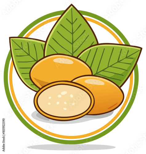 Shea Nuts and Leaves Illustration with Halved Nut in Green and Yellow Circle
