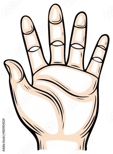 Cartoon hand with five fingers open and spread wide in illustration style