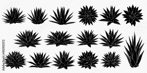Set of black silhouettes of agave plants, various shapes and sizes, isolated on transparent background.