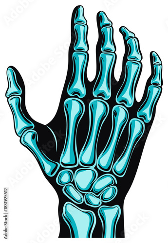 Artistic illustration of a human hand anatomy, showing bones in turquoise color