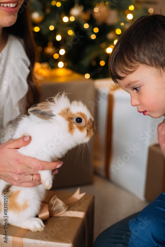Child with excitement interacts with a rabbit during a festive holiday celebration with Christmas decorations and wrapped gifts