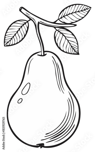 Simple Outline Drawing of a Pear on a Branch with Leaves