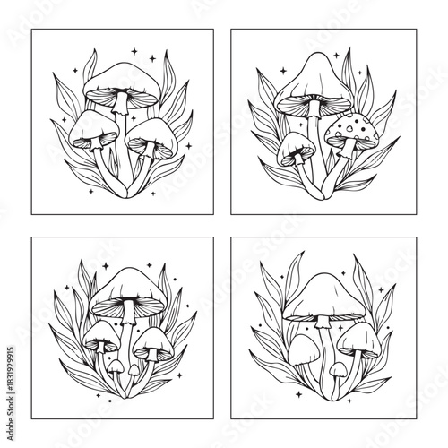Amazing mushroom set vector line art illustration