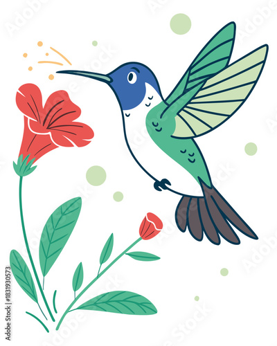 Colorful Hummingbird Drinking Nectar from Flower – Vector Illustration