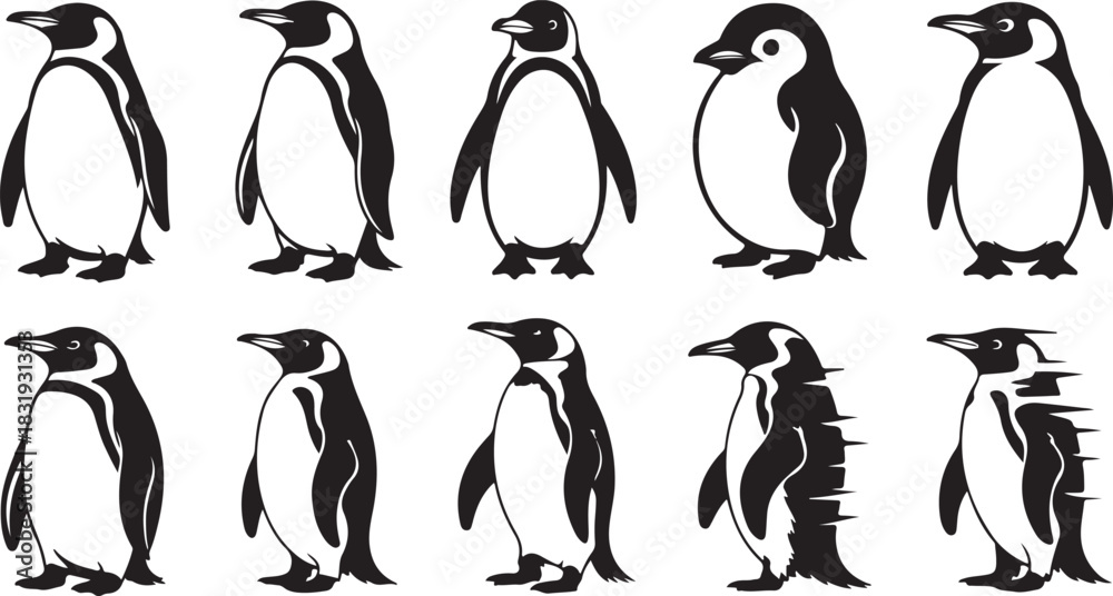 Fototapeta premium Collection of ten black silhouette penguin icons in various poses and styles Keywords: penguin, silhouette, icon, animal, wildlife, bird, nature, graphic, design, element, illustration, black and