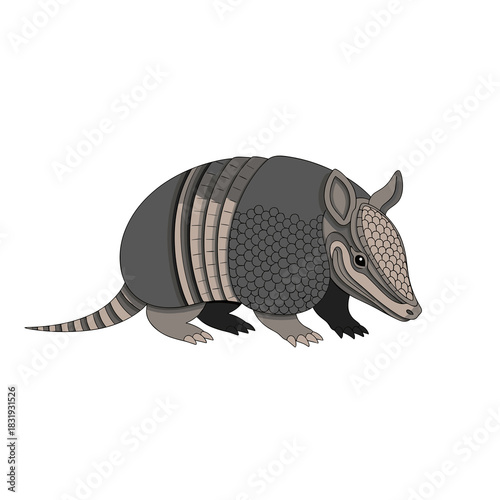 Armadillo illustration in a simple, cartoon style on white background  