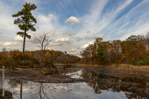 Landscape along the Sussex Branch Trail in Kittatinny Valley State Park, NJ