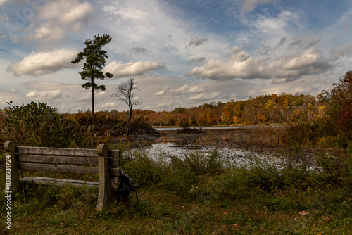 Landscape along the Sussex Branch Trail in Kittatinny Valley State Park, NJ