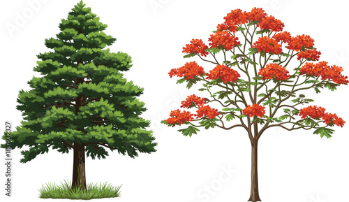 Coniferous and deciduous trees side by side with vibrant foliage, seasonal contrast, nature diversity, forest flora, and botanical beauty