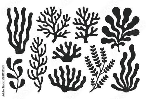 Stylized black silhouettes of diverse marine seaweed and coral shapes are featured on a clean white background