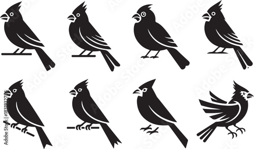 Eight Black Silhouette Cardinal Bird Icons with Different Poses Keywords: cardinal, bird, birds, silhouette, icon, animal, wildlife, nature, perched, standing, flying, wings, feathers, beak, crest