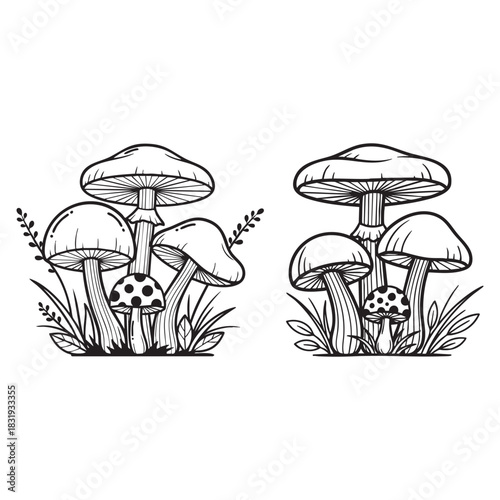 Creative mushroom set vector line art illustration