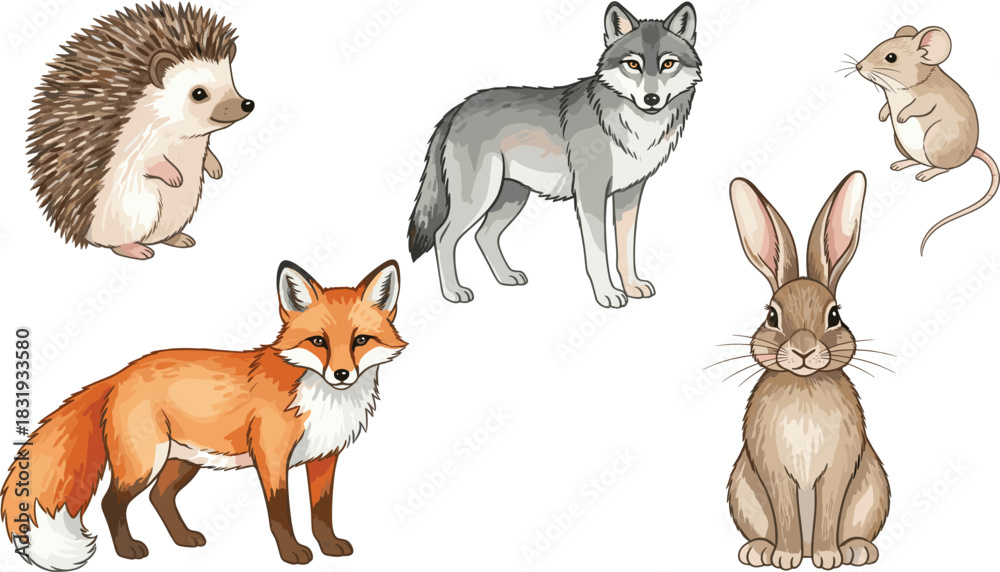 Fototapeta premium Detailed Watercolor Woodland Animals Vector Collection Featuring Fox, Wolf, Hedgehog, Rabbit, and Mouse for Nature, Wildlife Education, and Forest-Themed Designs