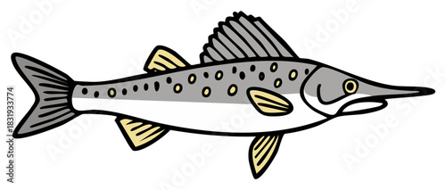 Illustration of a spotted freshwater fish with a long snout and dorsal fin
