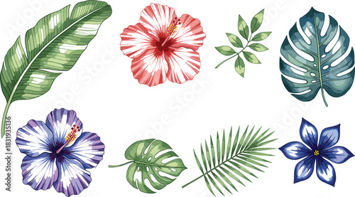 Vibrant Watercolor Tropical Flower and Leaf Vector Collection Featuring Hibiscus, Monstera, and Palm Fronds for Summer, Exotic Decor, and Hawaiian Design