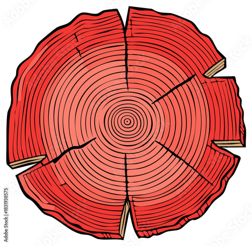 Reddish Tree Ring Wood Log, Cracks, Tree Rings, and Rough Edges, Tree Trunk, Wood Grain